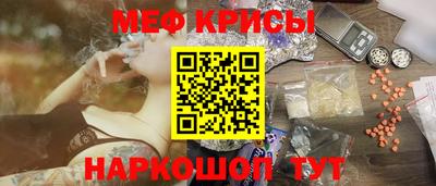 СК Кингисепп