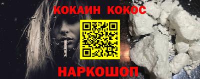 СК Кингисепп