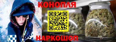СК Кингисепп