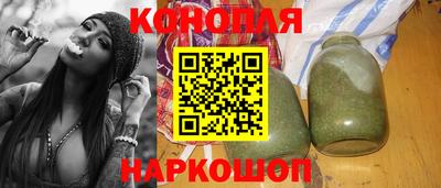 СК Кингисепп