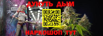 СК Кингисепп