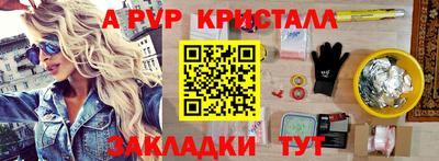 СК Кингисепп