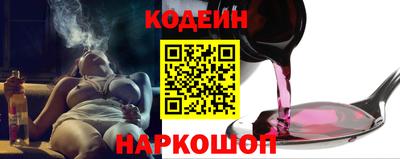 СК Кингисепп