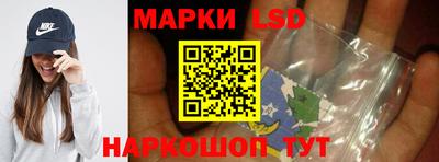 СК Кингисепп