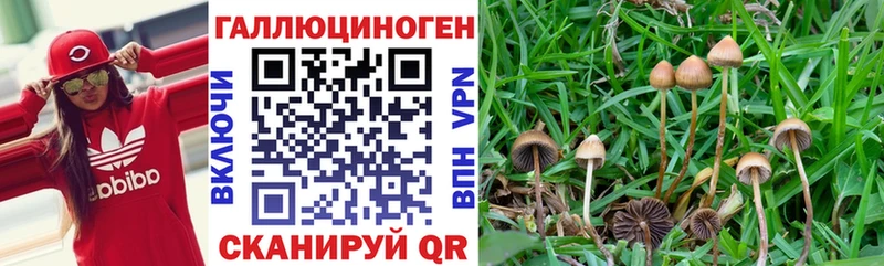 Галлюциногенные грибы MAGIC MUSHROOMS  MEGA ссылки  Кудымкар 