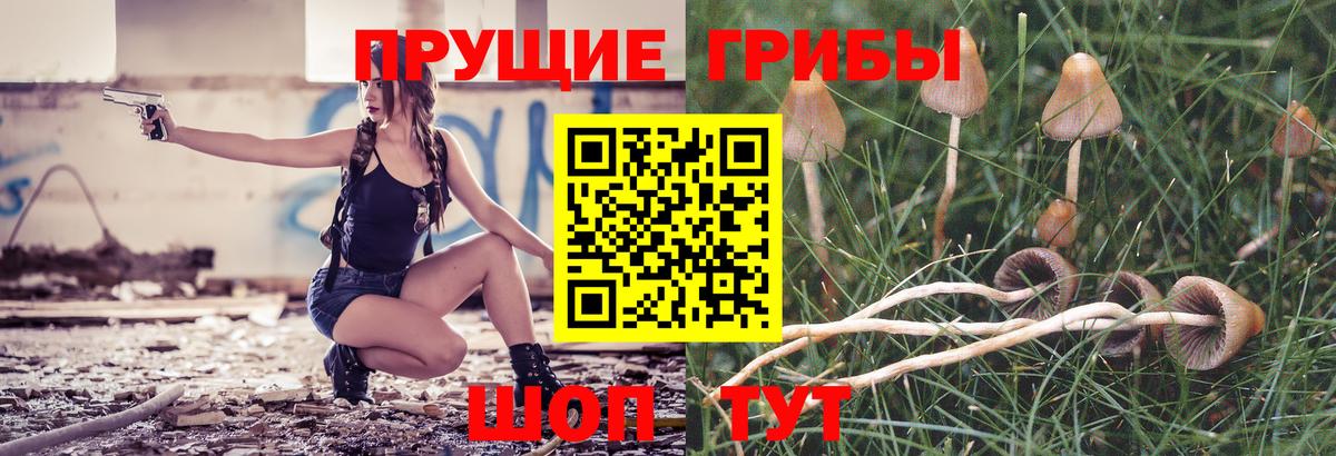 Галлюциногенные грибы Cubensis Кудымкар